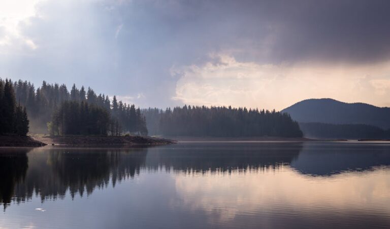 10 Peaceful Hobbies That Keep the Peace With Your Neighbors
